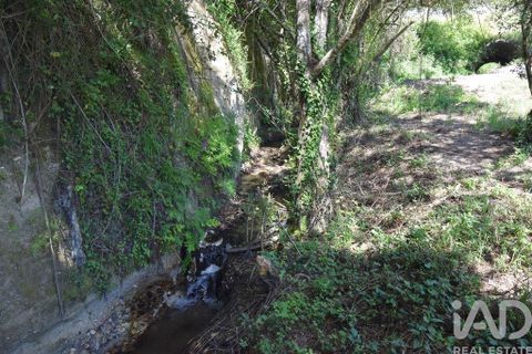 Helårsgrund i Penela, Coimbra, Penela - € 35.000 | Ref: 944201 - foto 8