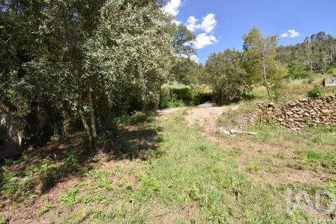 Helårsgrund i Penela, Coimbra, Penela - € 35.000 | Ref: 944201 - foto 10