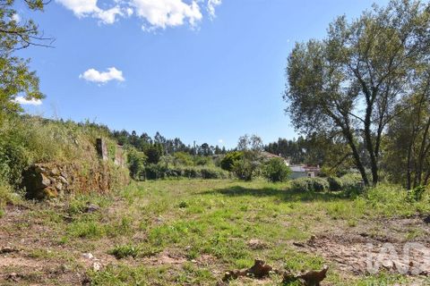 Helårsgrund i Penela, Coimbra, Penela - € 35.000 | Ref: 944201 - foto 14