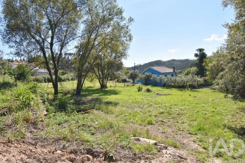 Helårsgrund i Penela, Coimbra, Penela - € 35.000 | Ref: 944201 - foto 15