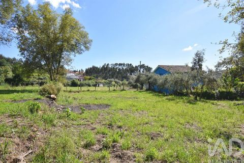 Helårsgrund i Penela, Coimbra, Penela - € 35.000 | Ref: 944201 - foto 16