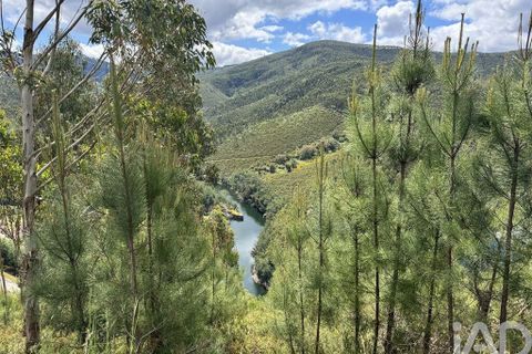 Stadthaus in Gois, Coimbra, Gois - € 65.000 | Ref: 916031 - Foto 29