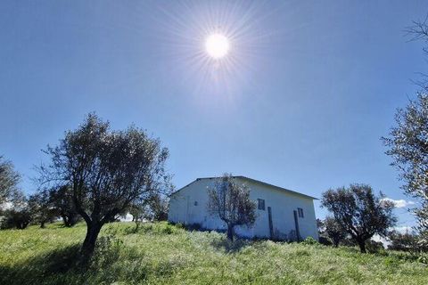 Terra a Rio Maior, Santarem, Rio Maior - € 98.000 | Ref: 139147 - foto 2