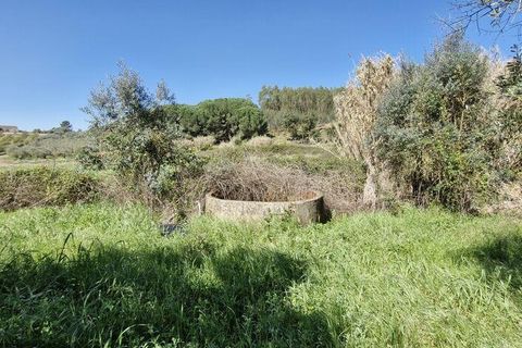 Terra a Rio Maior, Santarem, Rio Maior - € 98.000 | Ref: 139147 - foto 4