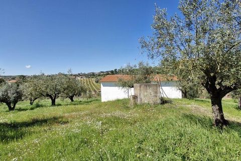 Terra a Rio Maior, Santarem, Rio Maior - € 98.000 | Ref: 139147 - foto 11