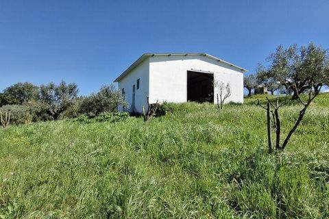 Terra a Rio Maior, Santarem, Rio Maior - € 98.000 | Ref: 139147 - foto 13