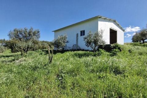 Terra a Rio Maior, Santarem, Rio Maior - € 98.000 | Ref: 139147 - foto 15