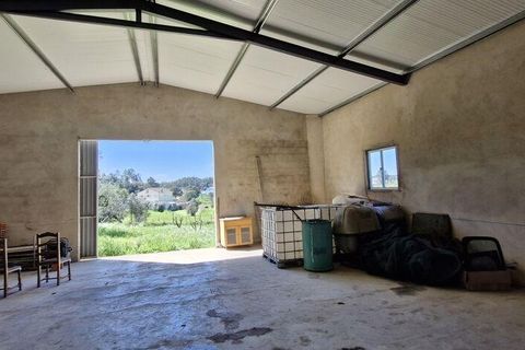 Terra a Rio Maior, Santarem, Rio Maior - € 98.000 | Ref: 139147 - foto 17