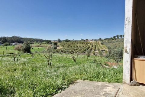 Terra a Rio Maior, Santarem, Rio Maior - € 98.000 | Ref: 139147 - foto 19