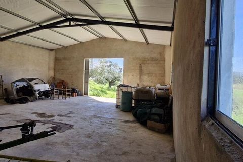 Terra a Rio Maior, Santarem, Rio Maior - € 98.000 | Ref: 139147 - foto 20