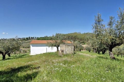 Terra a Rio Maior, Santarem, Rio Maior - € 98.000 | Ref: 139147 - foto 22