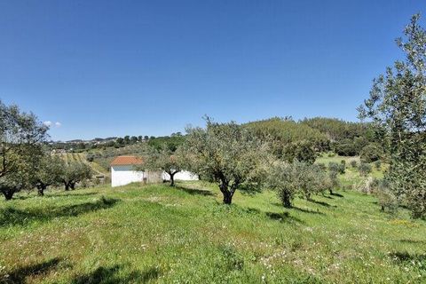 Terra a Rio Maior, Santarem, Rio Maior - € 98.000 | Ref: 139147 - foto 23