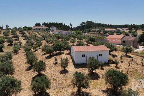 Terra a Rio Maior, Santarem, Rio Maior - € 98.000 | Ref: 139147 - foto 24