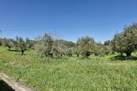Terra a Rio Maior, Santarem, Rio Maior - € 98.000 | Ref: 139147 - foto 25