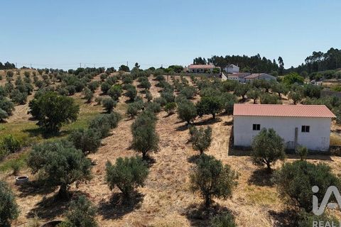 Terra a Rio Maior, Santarem, Rio Maior - € 98.000 | Ref: 139147 - foto 26