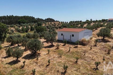 Terra a Rio Maior, Santarem, Rio Maior - € 98.000 | Ref: 139147 - foto 27