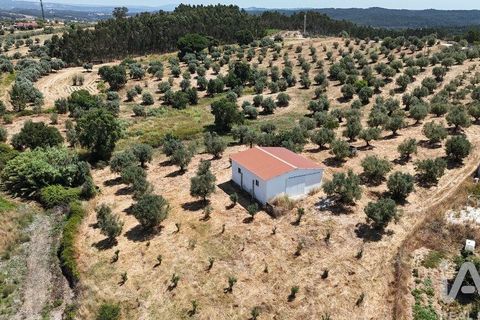 Terra a Rio Maior, Santarem, Rio Maior - € 98.000 | Ref: 139147 - foto 28