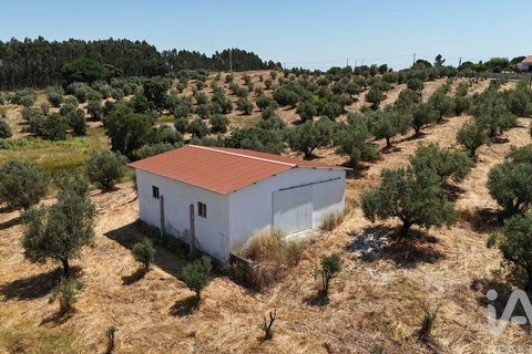 Terra a Rio Maior, Santarem, Rio Maior - € 98.000 | Ref: 139147 - foto 29