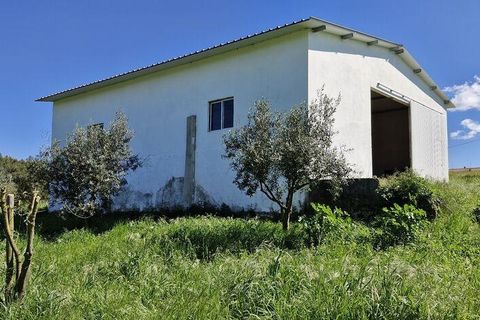 Terra a Rio Maior, Santarem, Rio Maior - € 98.000 | Ref: 139147 - foto 30