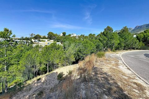 Helårsgrund i Altea, Alicante, Altea - € 190.000 | Ref: BP3687 - foto 9