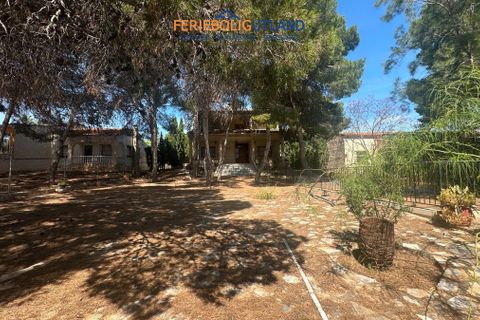Villa a Torrevieja, Alicante, Torrevieja - € 550.000 | Ref: FBU21829 - foto 3