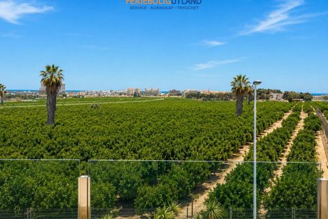 Byhus i Torrevieja, Alicante, Torrevieja - € 429.000 | Ref: FBU21835 - foto 24