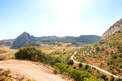 Erhvervsejendom i Montejaque, Malaga, Montejaque - € 2.200.000 | Ref: 2011 - foto 3
