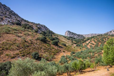 Erhvervsejendom i Montejaque, Malaga, Montejaque - € 2.200.000 | Ref: 2011 - foto 5