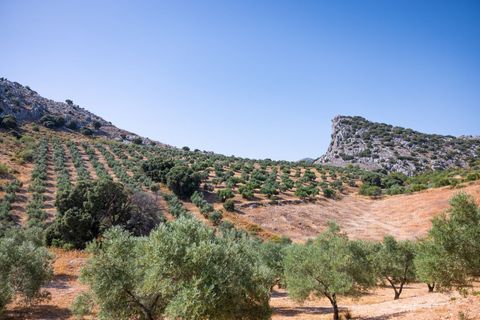 Erhvervsejendom i Montejaque, Malaga, Montejaque - € 2.200.000 | Ref: 2011 - foto 6