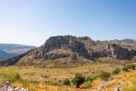 Erhvervsejendom i Montejaque, Malaga, Montejaque - € 2.200.000 | Ref: 2011 - foto 8