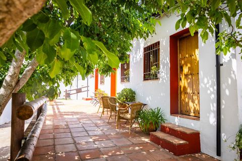 Erhvervsejendom i Montejaque, Malaga, Montejaque - € 2.200.000 | Ref: 2011 - foto 40