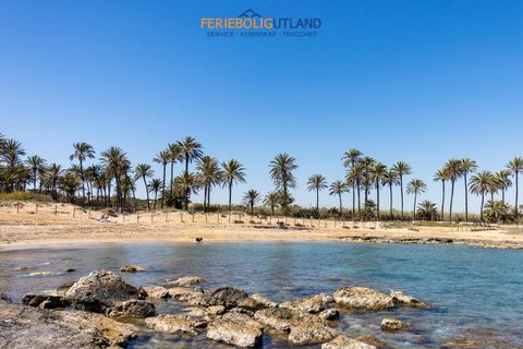 Bungalou a Torrevieja, Alicante, Torrevieja - € 139.500 | Ref: FBU22167 - foto 33