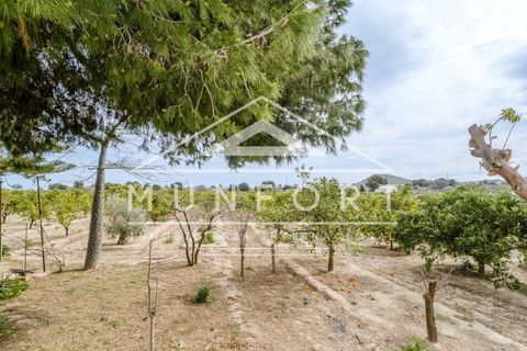 Villa a Rojales, Alicante, Rojales - € 245.000 | Ref: DH282-D - foto 16