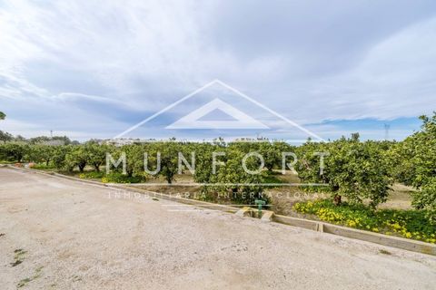 Villa a Rojales, Alicante, Rojales - € 245.000 | Ref: DH282-D - foto 18