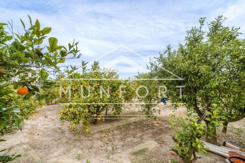 Villa a Rojales, Alicante, Rojales - € 245.000 | Ref: DH282-D - foto 19