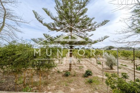 Villa a Rojales, Alicante, Rojales - € 245.000 | Ref: DH282-D - foto 22