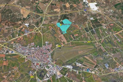 Helårsgrund i Lagoa, Faro, Lagoa - € 3.500.000 | Ref: CB01-0179 - foto 11