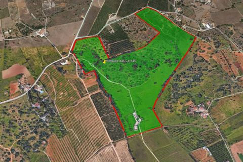 Helårsgrund i Lagoa, Faro, Lagoa - € 3.500.000 | Ref: CB01-0179 - foto 12