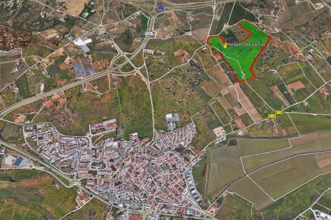 Helårsgrund i Lagoa, Faro, Lagoa - € 3.500.000 | Ref: CB01-0179 - foto 14