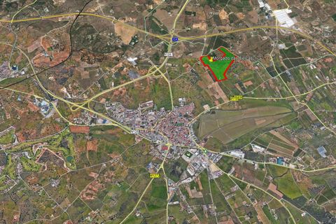 Helårsgrund i Lagoa, Faro, Lagoa - € 3.500.000 | Ref: CB01-0179 - foto 15