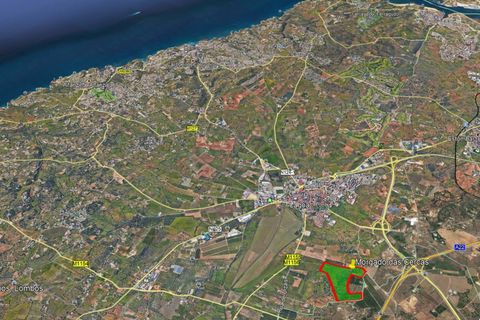 Helårsgrund i Lagoa, Faro, Lagoa - € 3.500.000 | Ref: CB01-0179 - foto 17