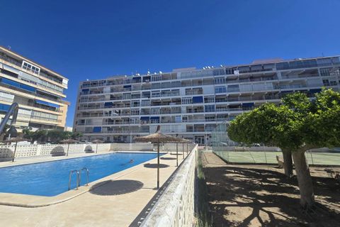 Leilighet i Torrevieja, Alicante, Torrevieja - € 220 000 | Ref: 784052 - foto 32