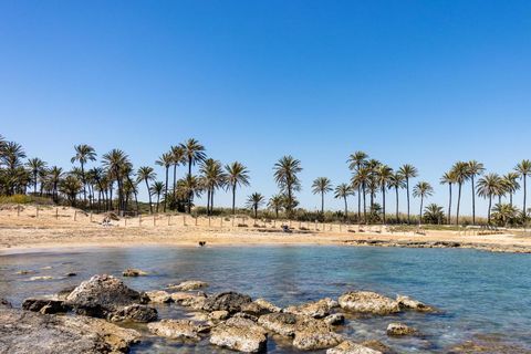 Bungalou a Torrevieja, Alicante, Torrevieja - € 139.500 | Ref: 784044 - foto 33