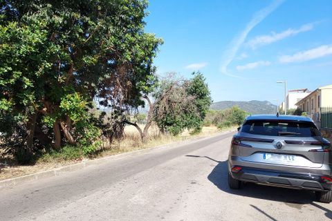 Terra a Inca, Mallorca, Inca - € 420.000 | Ref: 1018 - foto 2