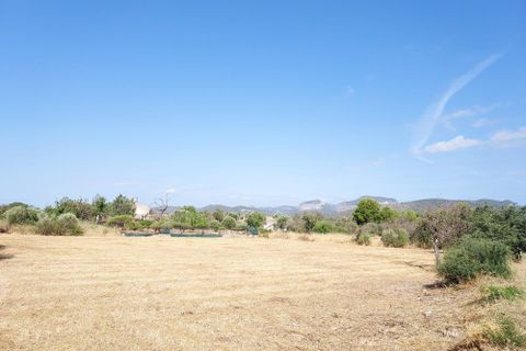 Terra a Inca, Mallorca, Inca - € 420.000 | Ref: 1018 - foto 3