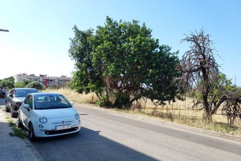 Terra a Inca, Mallorca, Inca - € 420.000 | Ref: 1018 - foto 5