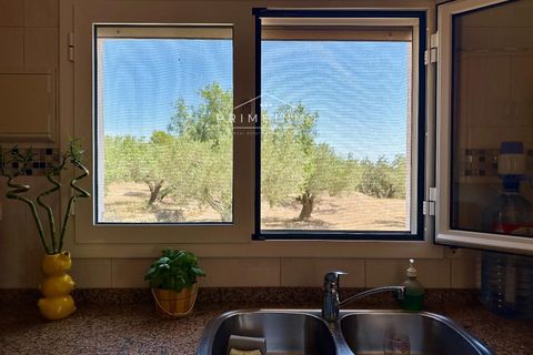 Villa i L'Ampolla, Tarragona, L'Ampolla - € 240.000 | Ref: 1172 - foto 18