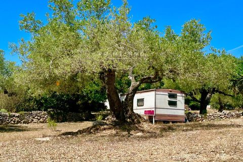 Villa i L'Ampolla, Tarragona, L'Ampolla - € 240.000 | Ref: 1172 - foto 31