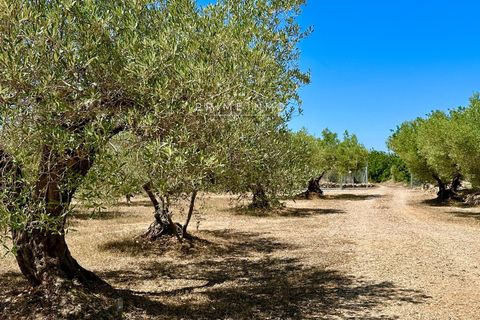 Villa i L'Ampolla, Tarragona, L'Ampolla - € 240.000 | Ref: 1172 - foto 34