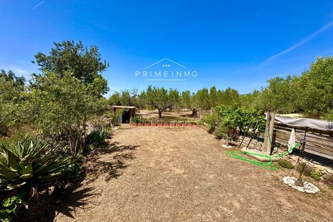 Villa i L'Ampolla, Tarragona, L'Ampolla - € 240.000 | Ref: 1172 - foto 35